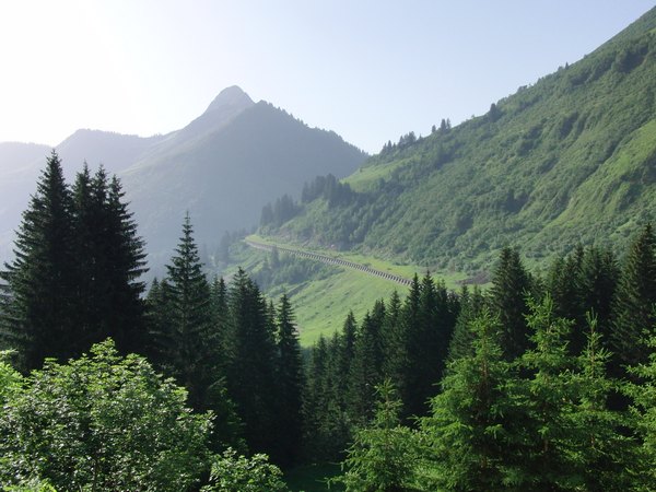 IMG (1).JPG